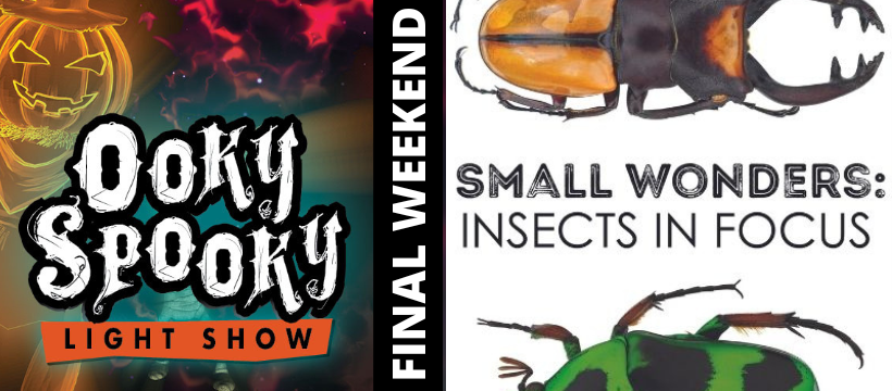 Ella Sharp Museum tweet media