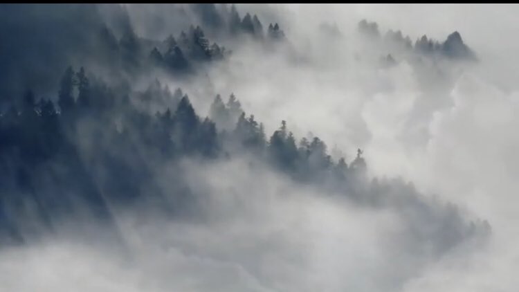 Lyric video de “Clarice”, tema que largué  hoy a las plataformas    youtu.be/wN3MNOWP41I #YouTube #indiemusic