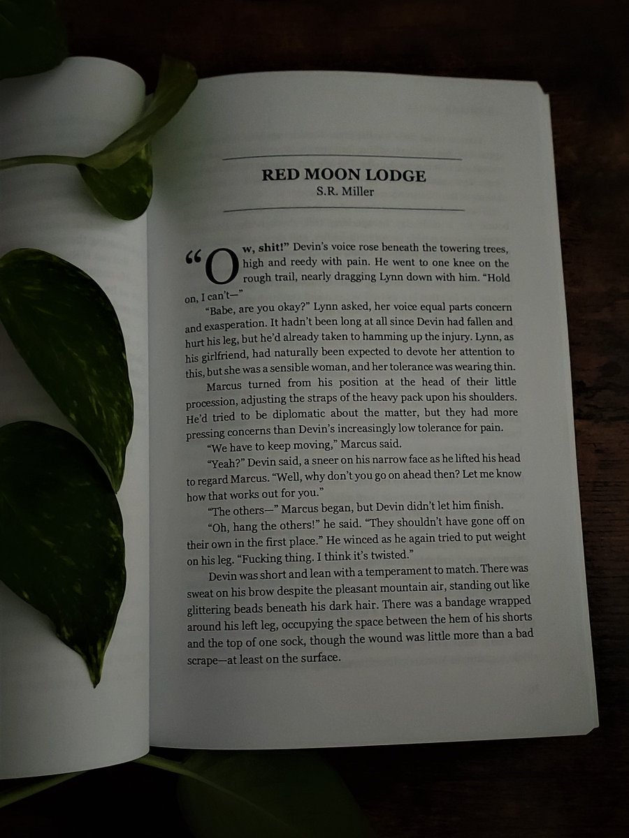 SRMillerAuthor's tweet photo. Got my crisp new contributor copy of Woodland Terrors from @darkpenpress 
It's the perfect time of year to dig into new horror, so grab your copy today. https://t.co/p16w1WPb1C