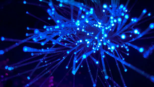 thenewstack's tweet image. The 3 Underrated Strengths of a Native Graph Database bit.ly/3gkkc0l
#Data #DataScience #DatabaseStorage
