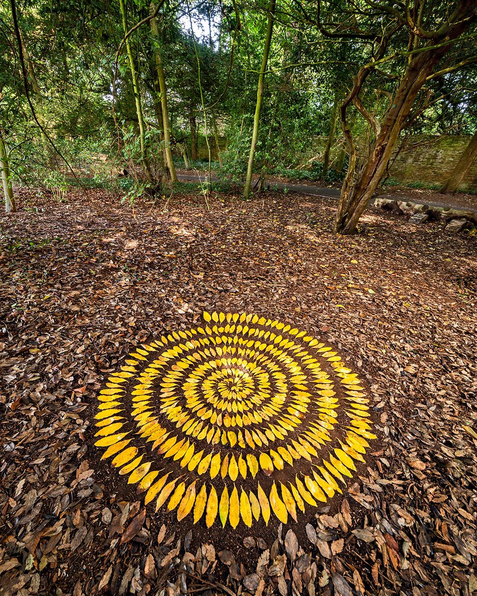 WinramPhoto's tweet image. One of the pieces I made at this years #LandSandStone arts festival in #bridlington #sewerbyhall grounds. #landart #spiral #natureart #autumn #spiral