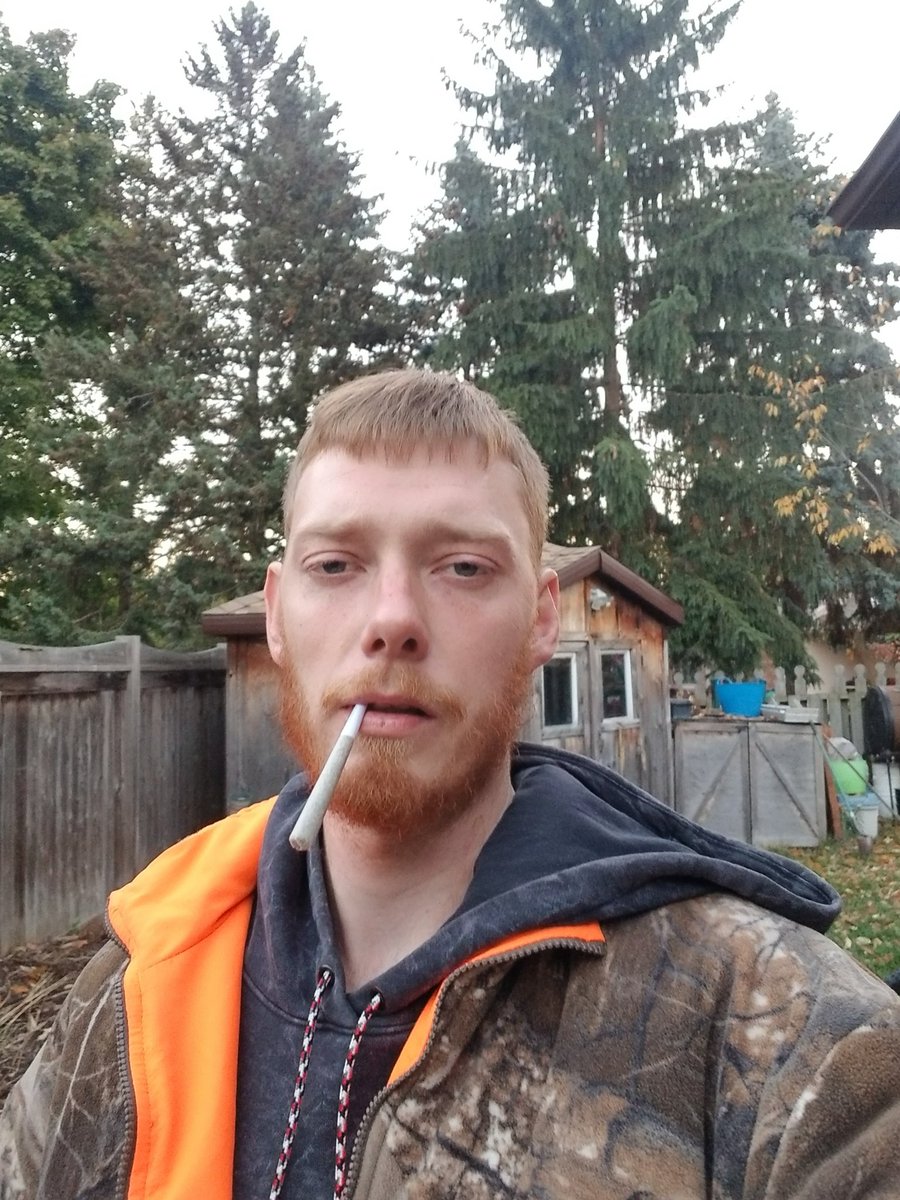 JDWilderness92's tweet photo. Exotic Gas #theloudplug #thc #cbd #cannabis #preroll
like this post and I'll follow you.
#gethigh #canada https://t.co/mMz35fJGvf