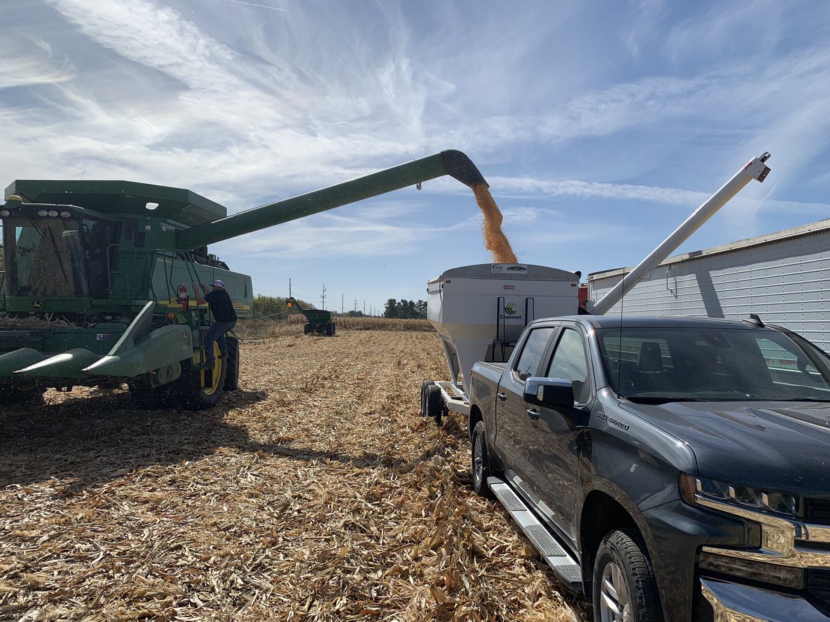 Another <a href="/ChannelSeed/">Channel Seed</a> corn plot out this afternoon. 214-78 at the top again followed by 211-11 and 214-22. Thanks Vogel Ag for getting it done. #Bayer4IL