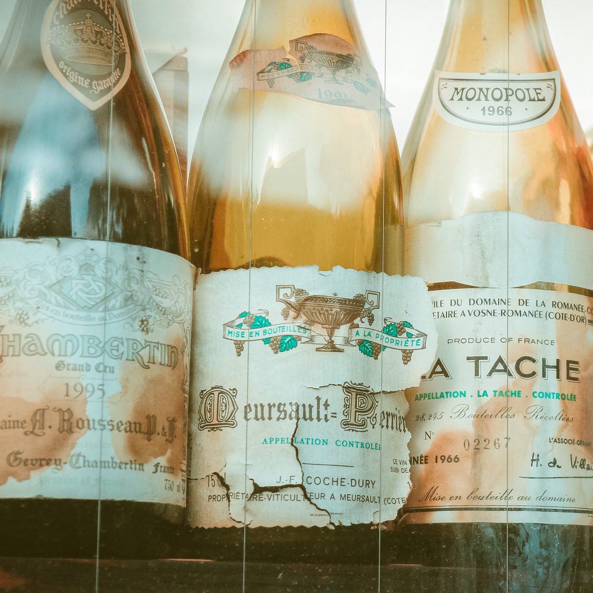 This Weekend Only! 

Many of these wines have nicks on their labels or a small tear in their capsule, but these cosmetic flaws in no way, shape, or form have affected the quality of the wine within them. Ends Monday, October 24, 2022, at 10:00 AM PT

bit.ly/2Y3WDh2