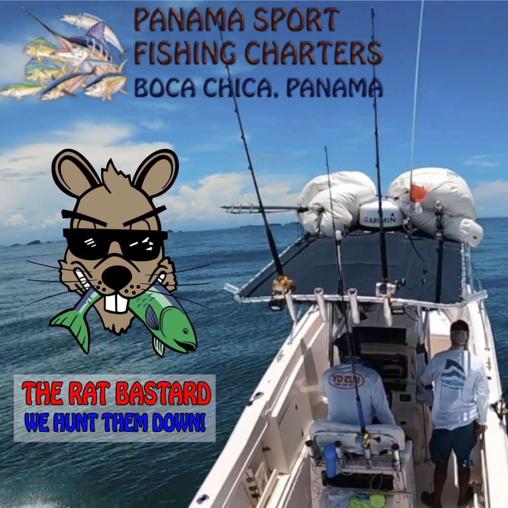 PSFCharters's tweet photo. Another great day in the Gulf of Chiriqui! Reeled in Blue Fin Jack, Rainbow Runner, and Hound Tooth from the The Rat Bastard, our Grady-White Chase! WE HUNT THEM DOWN! Book your charter today! Visit https://t.co/hskVGSkZYf for more info!

#deepseafishing #fishing #offshorefishing https://t.co/SaumN55wZN