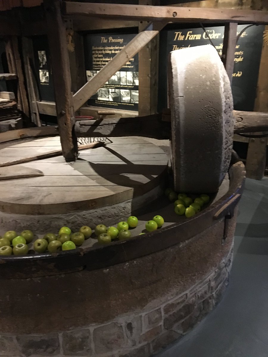 CiderappleDNA's tweet photo. Can’t forget the inspiration for my handle #ciderapples https://t.co/zetrbtRHBG
