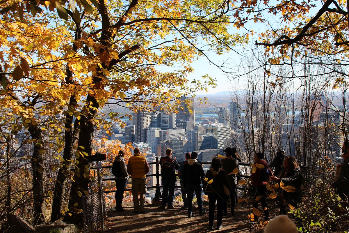 Montreal's tweet photo. The view from the top of Mount Royal. 🍂

📷 @leMontRoyal #montreal #MTLmoments #weekendvibes #photo https://t.co/ORcpHH2T1e