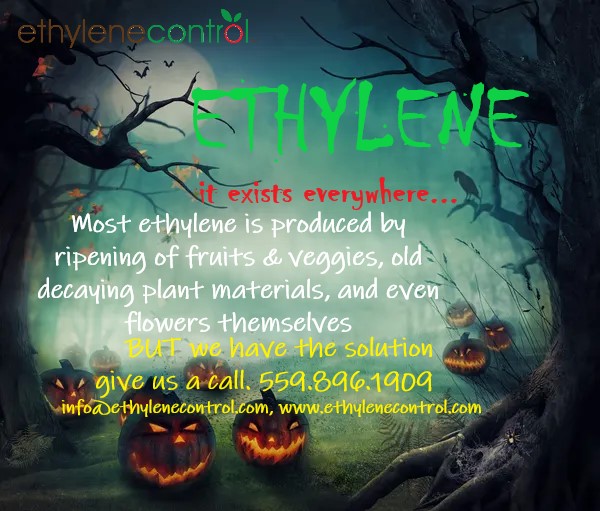 EthyleneControl's tweet image. Don't get caught in a scary situation.😱😨😬
Our products save commodities. From Holding, packing, to shipping. We've got it all. Contact us
#ethyleneremoval #ethylenecontrol #ethylene #freshproduce #produce #omri #omrilisted #organic #enviromentallyfriendly #exports #freshfruit