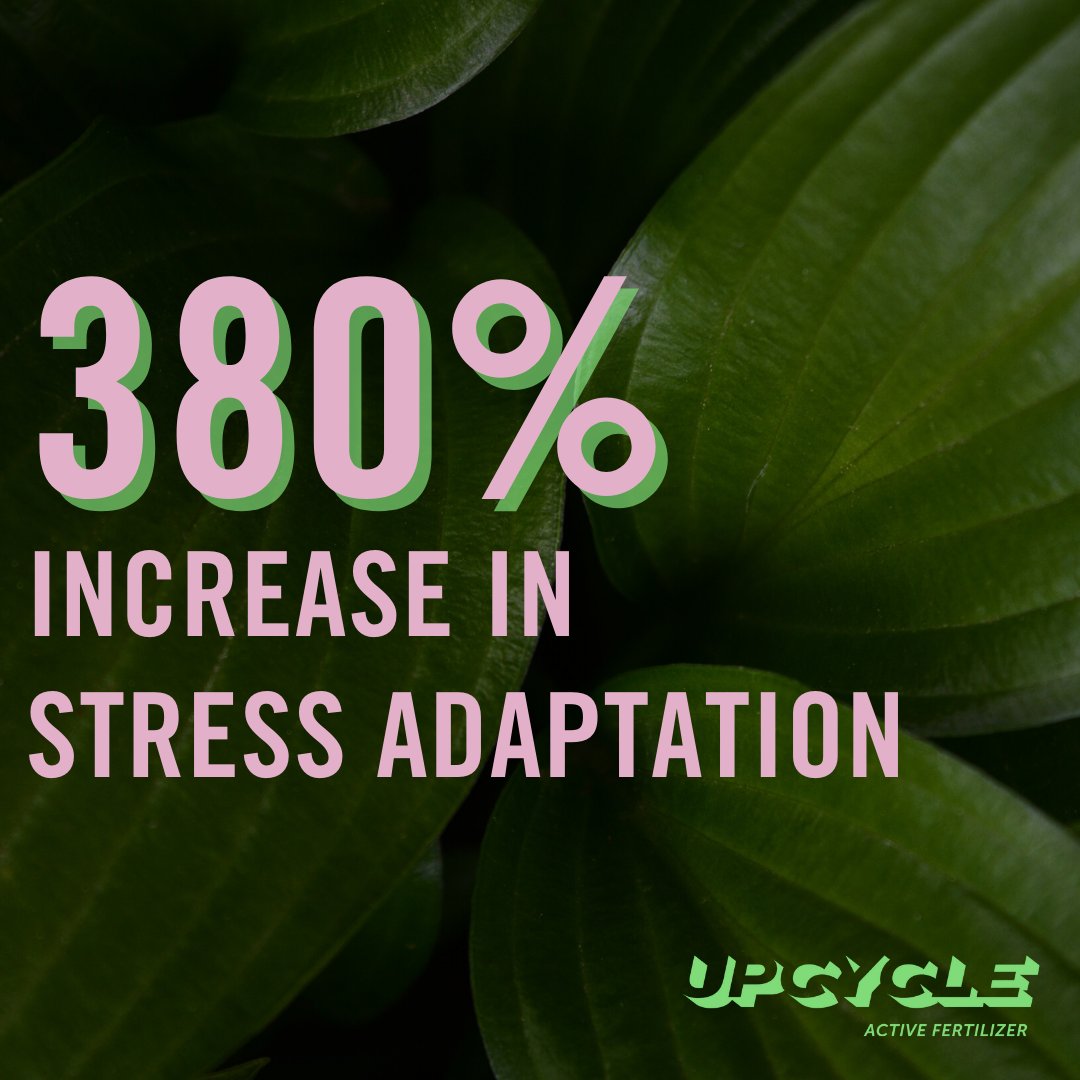 UpCycle and Co tweet media