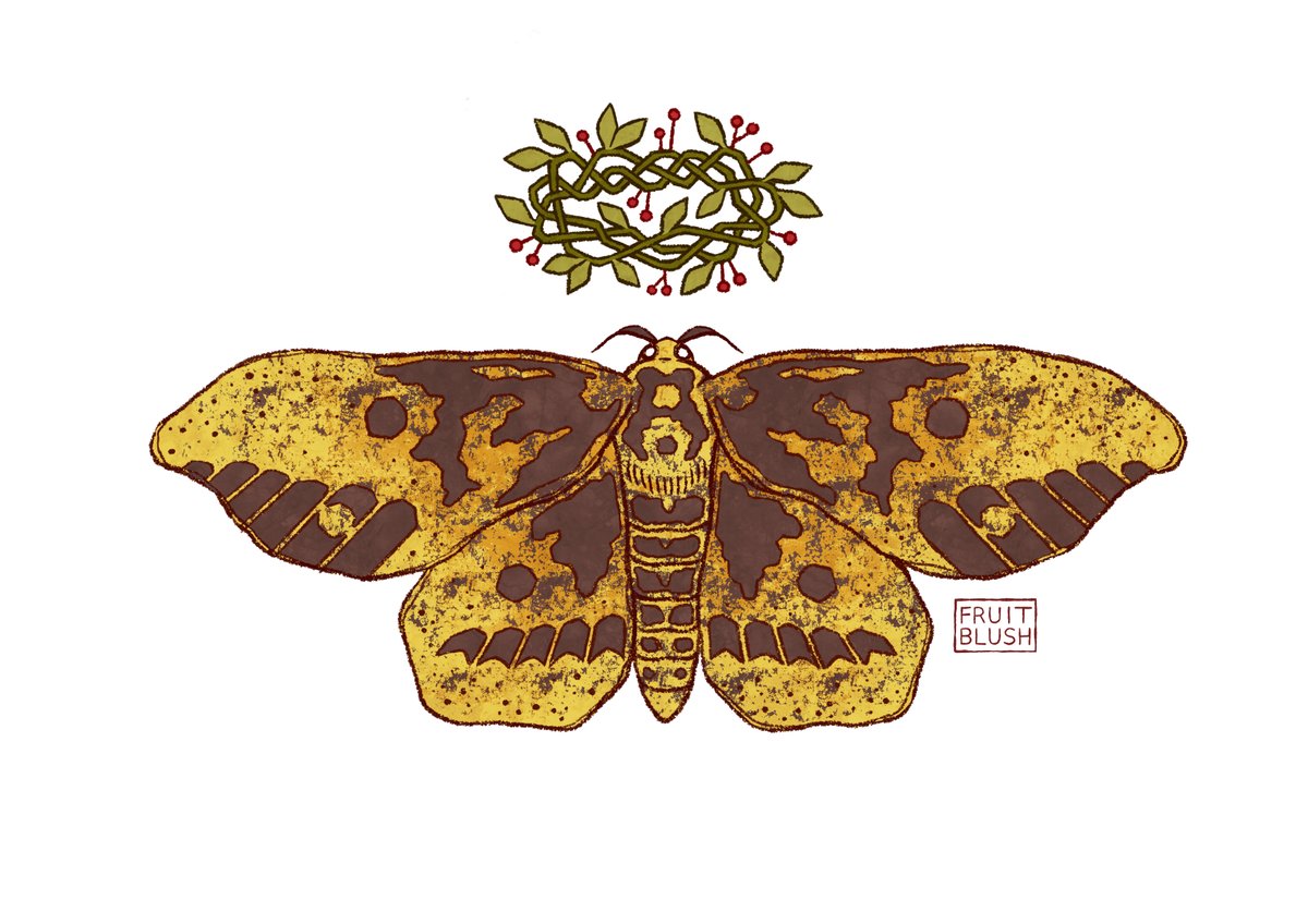 「Imperial Moth Tattoo Commission 」|fruitblush 🪱🫀のイラスト