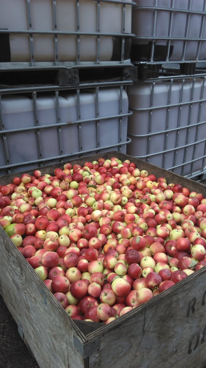 Happy International Apple Day!