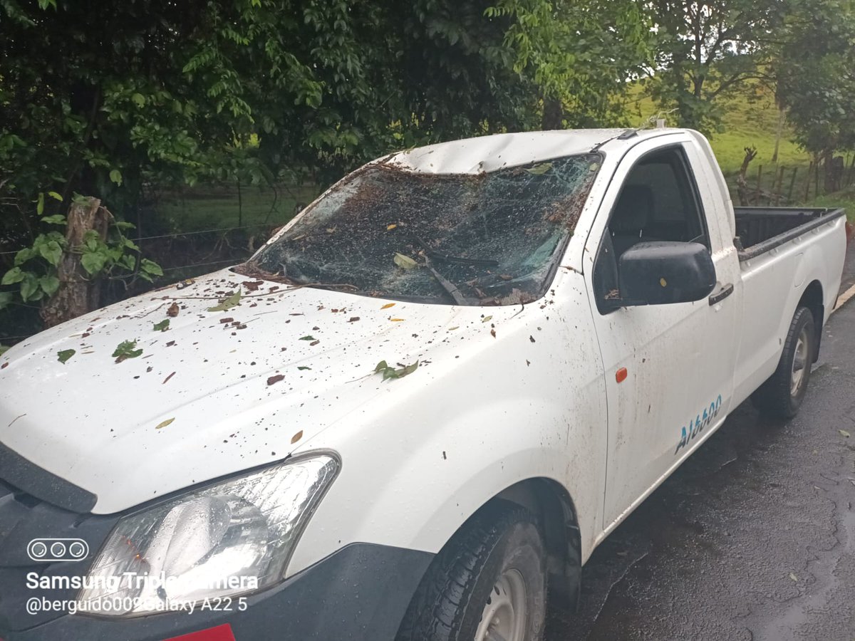 BCBRP's tweet photo. #PanamáOeste | Realizamos remoción de árbol que cayó sobre un vehículo en Quebrada Grande, Capira. No hay heridos. https://t.co/cOynvl4PqQ