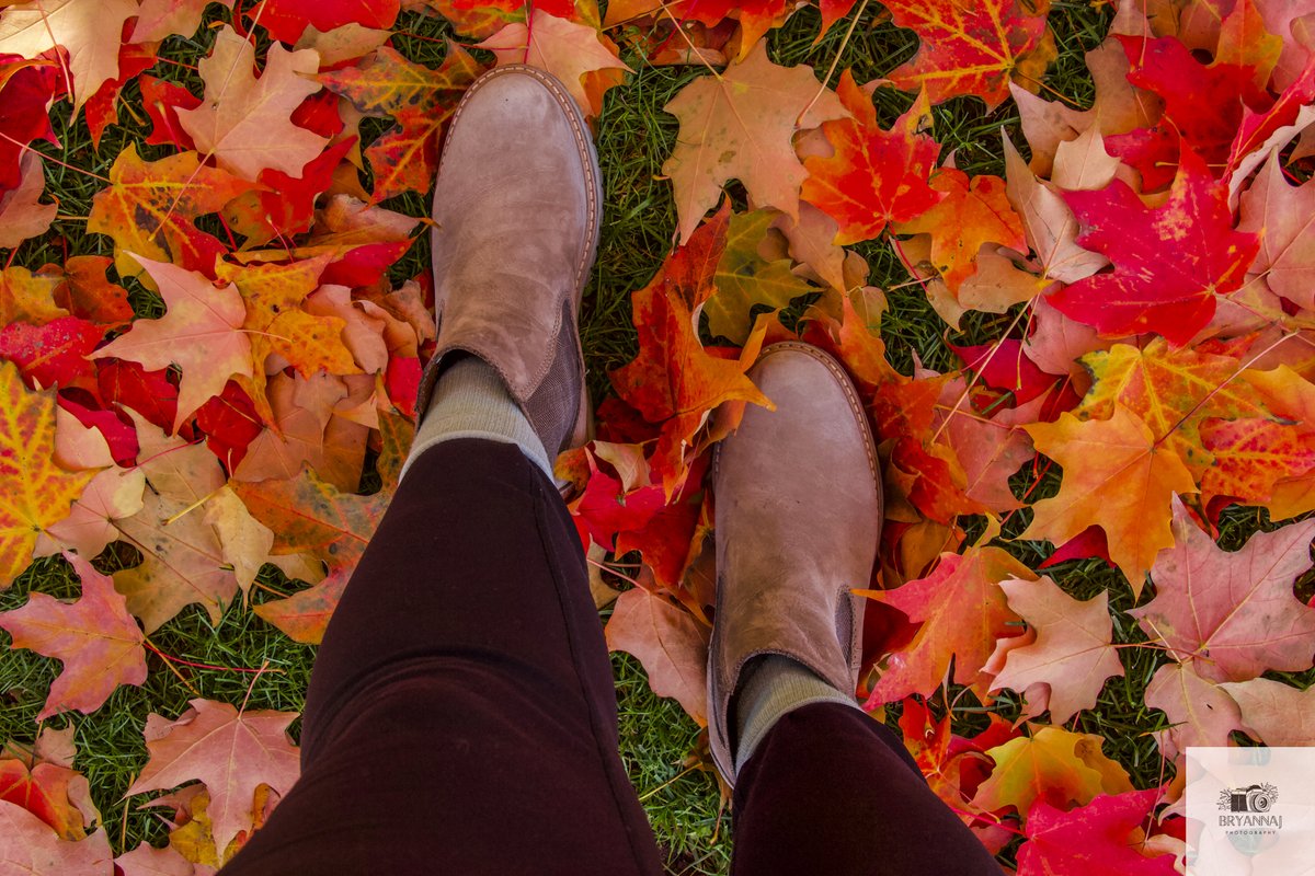 brecheeese's tweet photo. Today's fall walk 🍁 https://t.co/aYp6eso5Pa