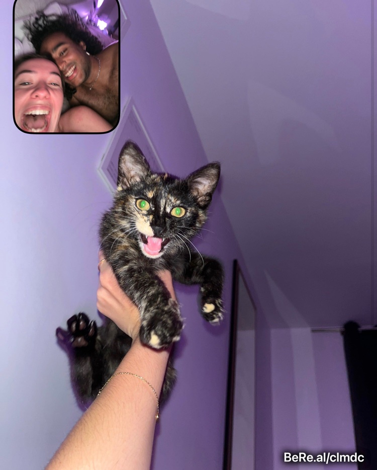 Floridaman's tweet image. 