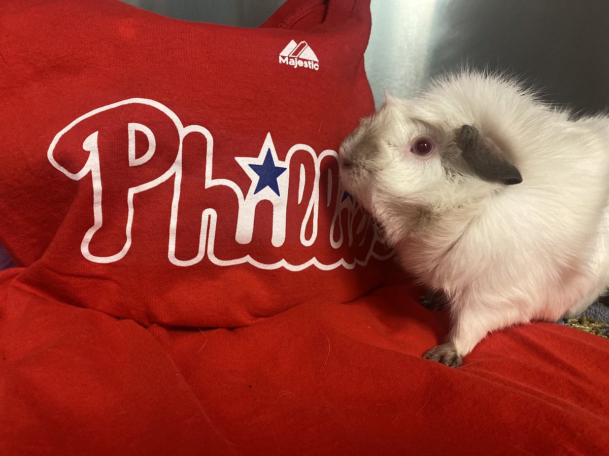 This little piggy is ready for tonight’s @Phillies game vs the @Padres , @sdhumane show us what you got! #phillies #AdoptDontShop @PhilliesNation
