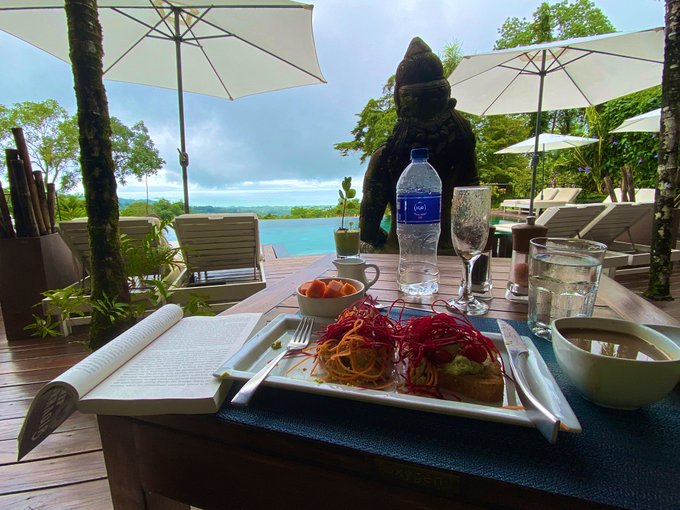 📖🍹🌴 https://t.co/IaV4sfahbk<a href="/tag/mvsales"class="tags"><span>#mvsales</span></a>