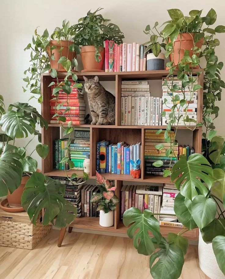 love plants, books n' cats.