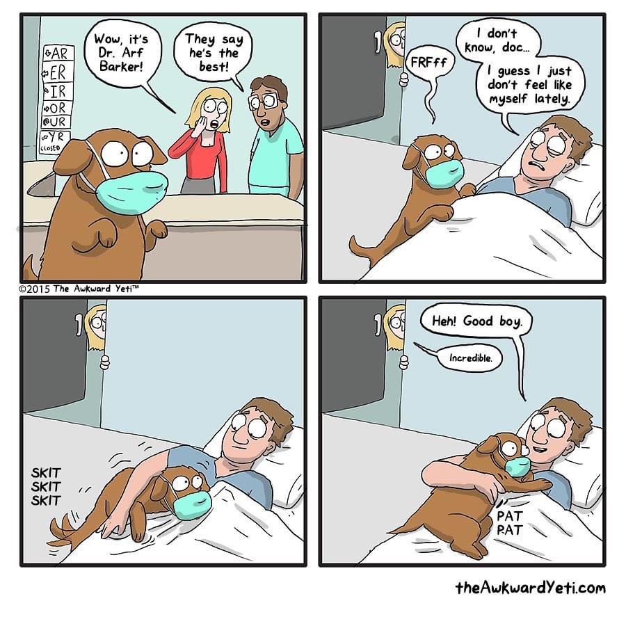 ConBark's tweet photo. I hope I can be half the Dr. Arf. #AwkwardYeti https://t.co/I90vl2zGd6