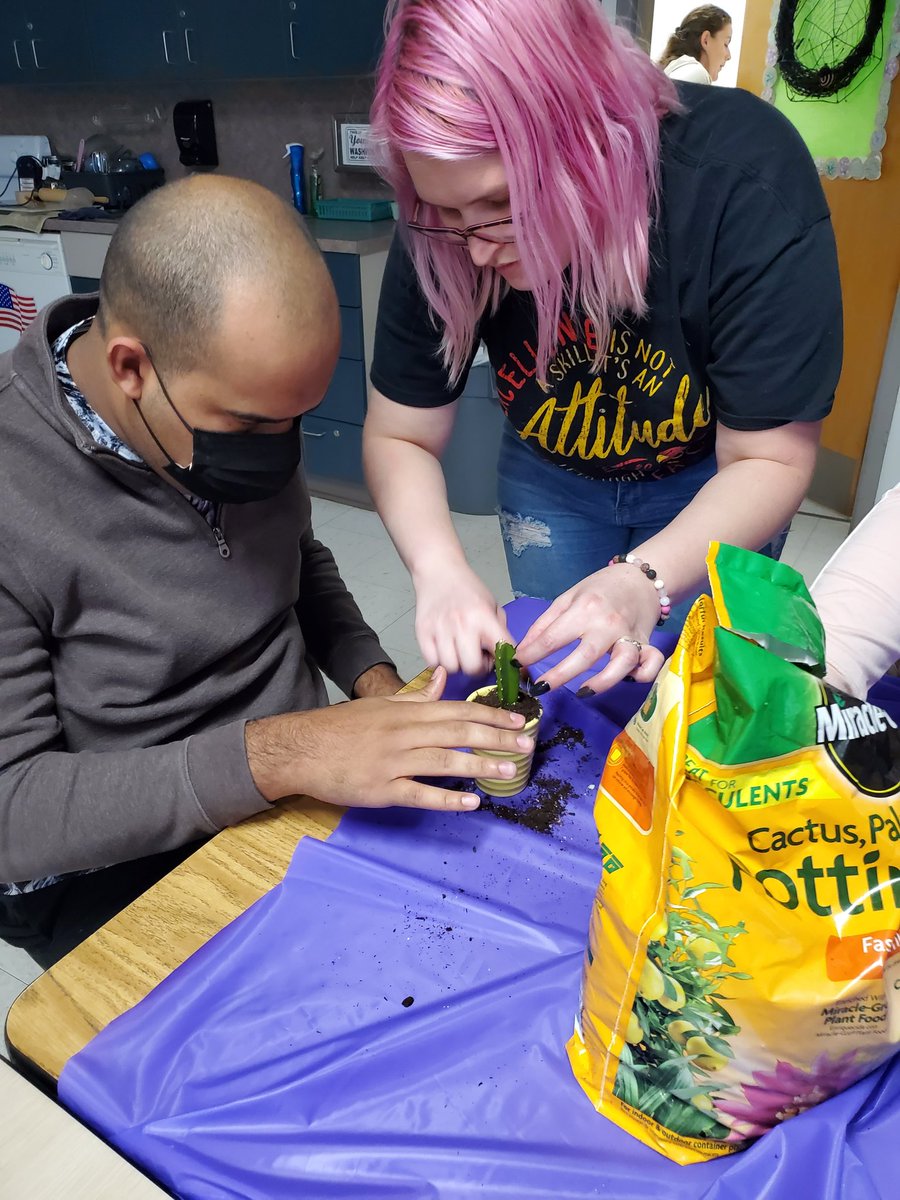 Mirbelis tweet media