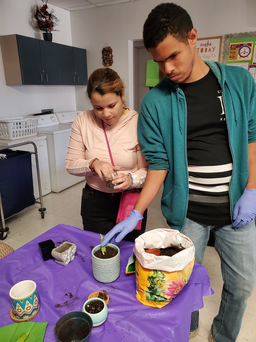 Mirbelis tweet media