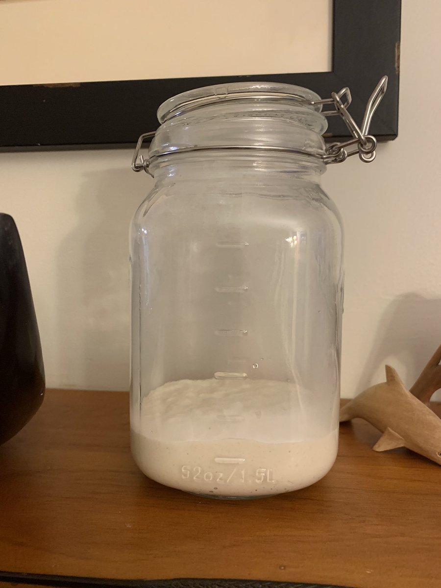 New home!  Puzzling why the old jar cracked but I just noticed that it was a cheap knock-off of a Mason jar.  This one is a genuine Mason….the champagne of starter-jars!  Welcome to your new home, Aunt Linda. #sourdough