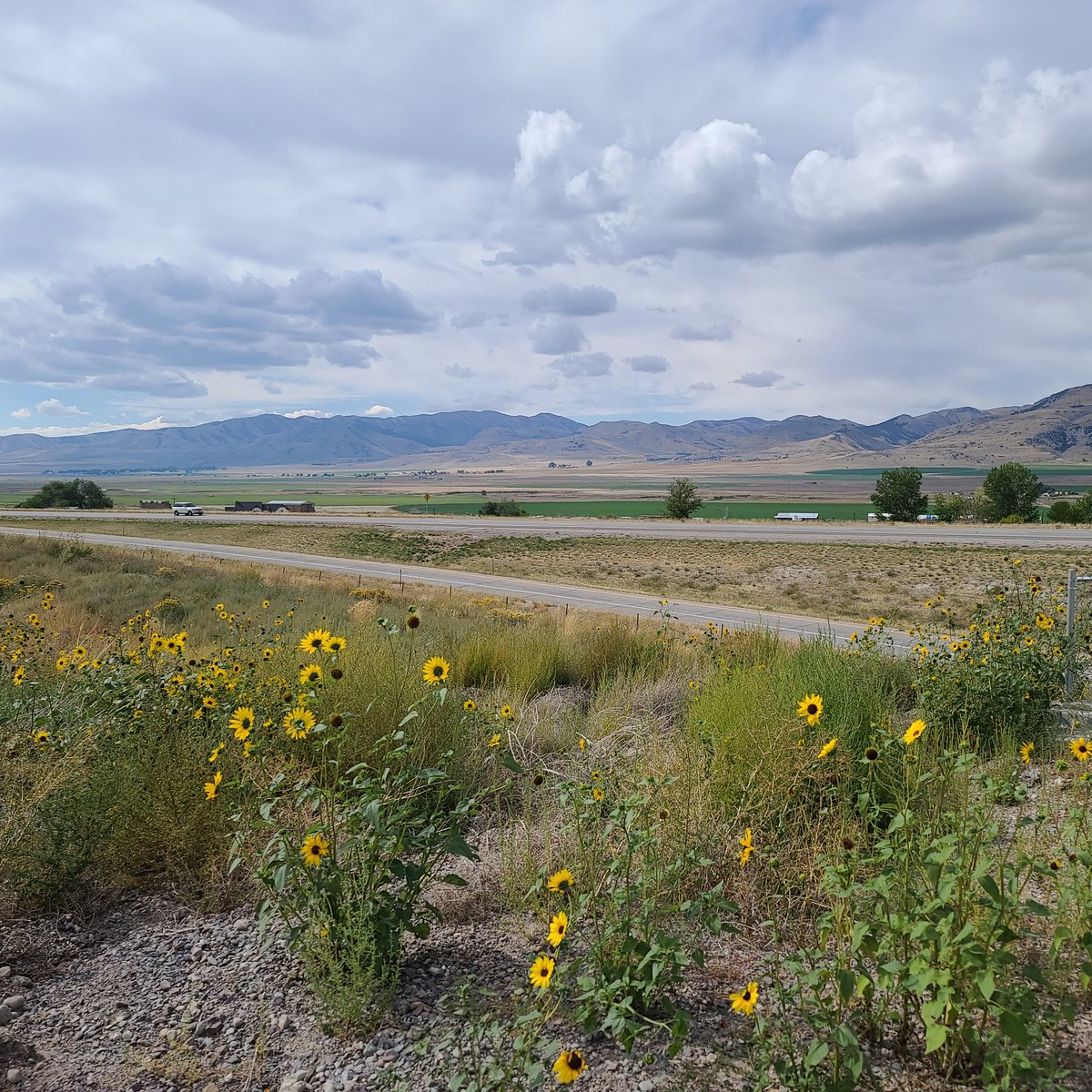 owenmiller75's tweet image. Thanks for asking, @ShopWolverine. I went on a road trip to Idaho! 🥔