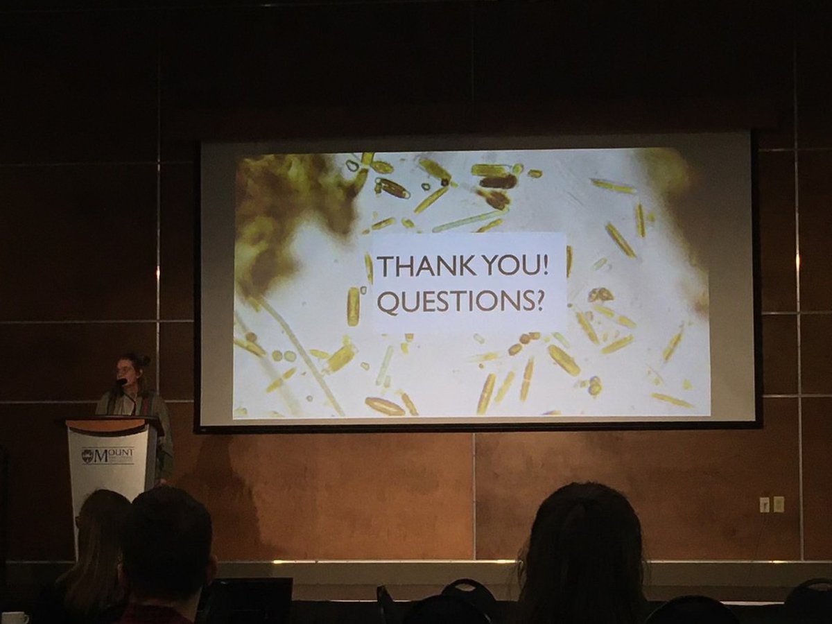 Becca Stevens-Green tweet media