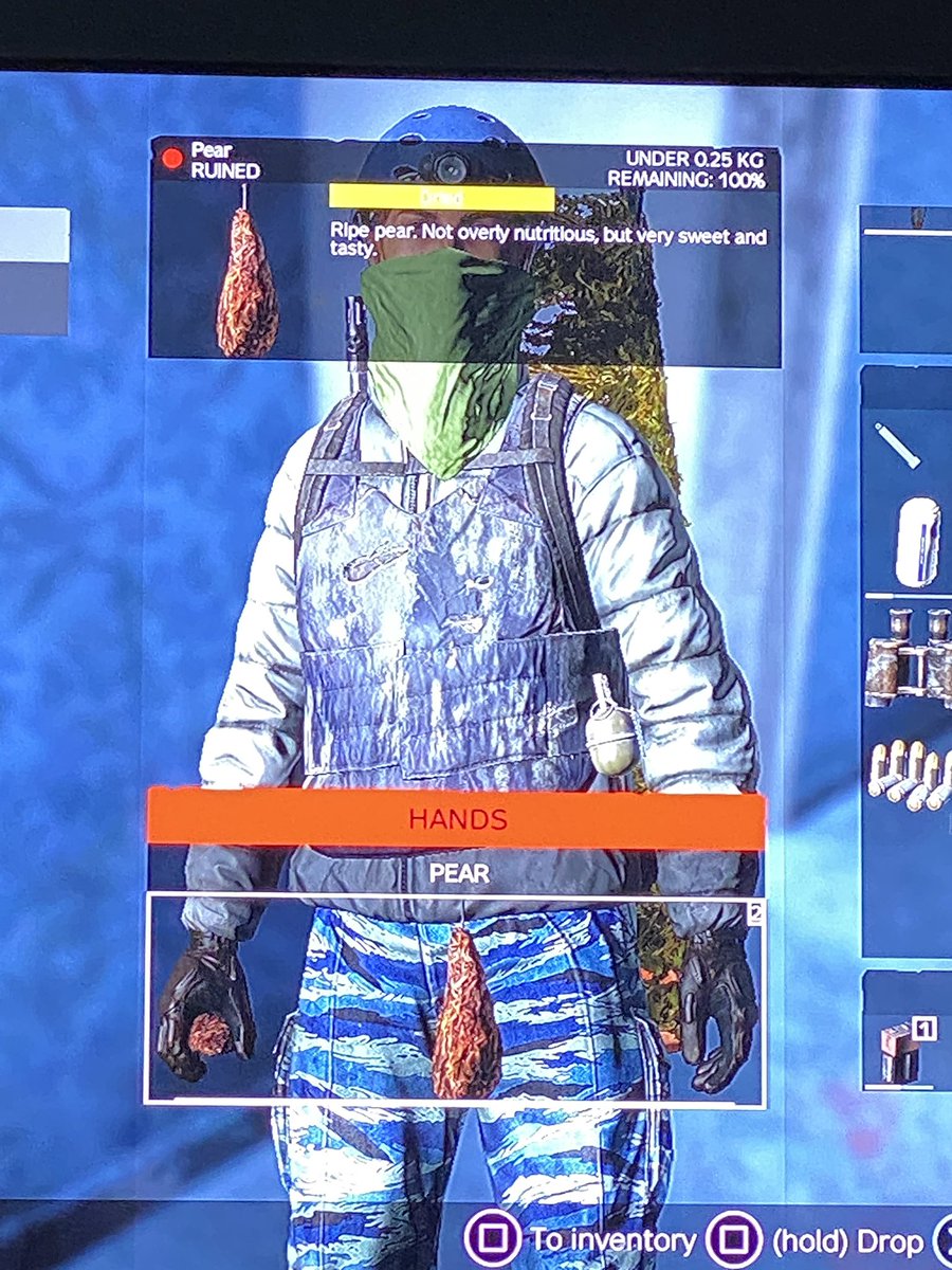 doctajonz's tweet photo. @DayZ How can a perfectly good looking pear and a dried one in my bag be ruined? https://t.co/ReOnurhel3