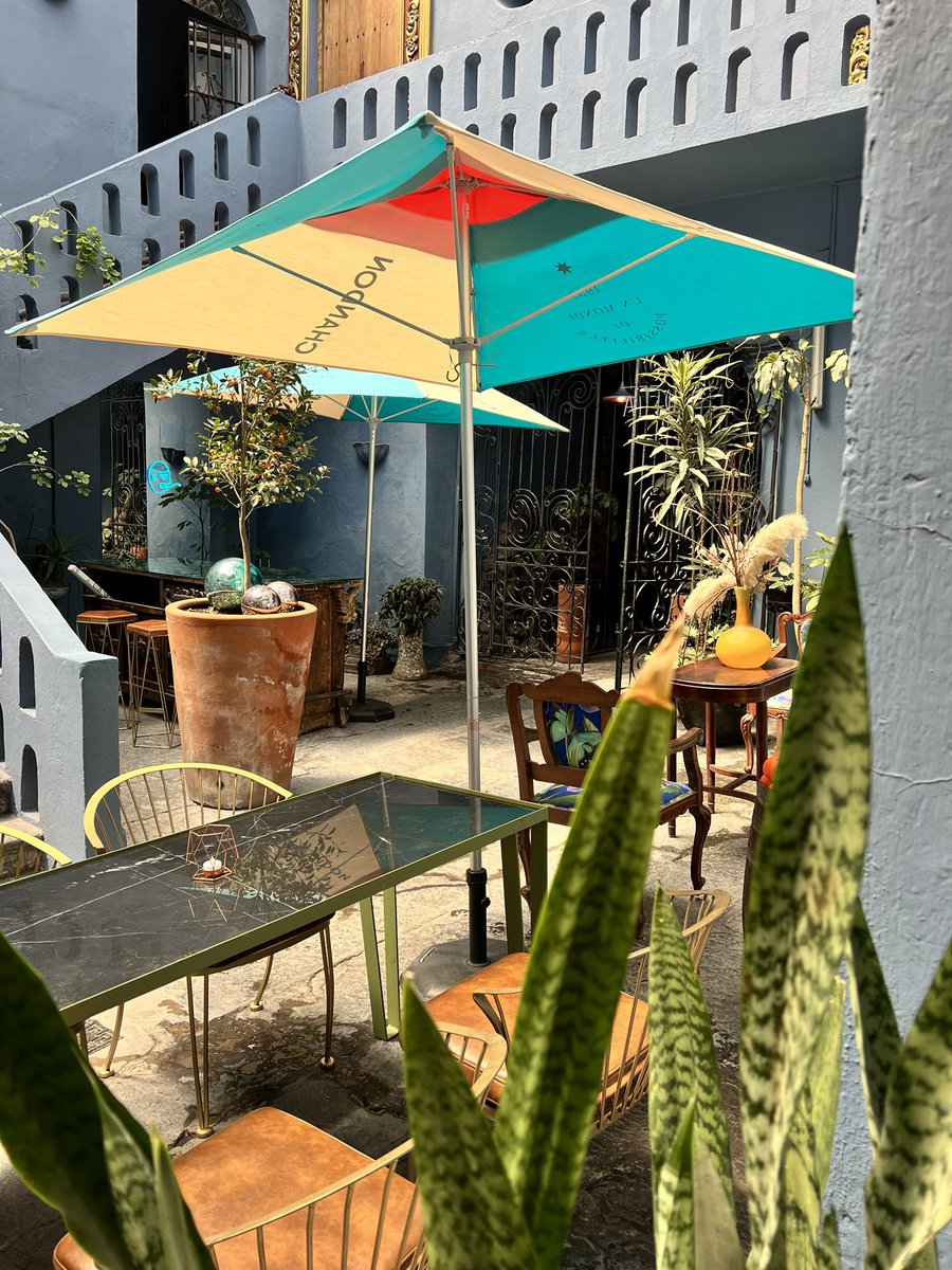 mesonsacristia's tweet photo. El soft opening de nuestro restaurante con una totalmente nueva propuesta gastronómica a cargo del chef @santiagoecheve inicia mañana!!
#laostiagarden #callejondelossapos #puebla https://t.co/RqkL7iavUn