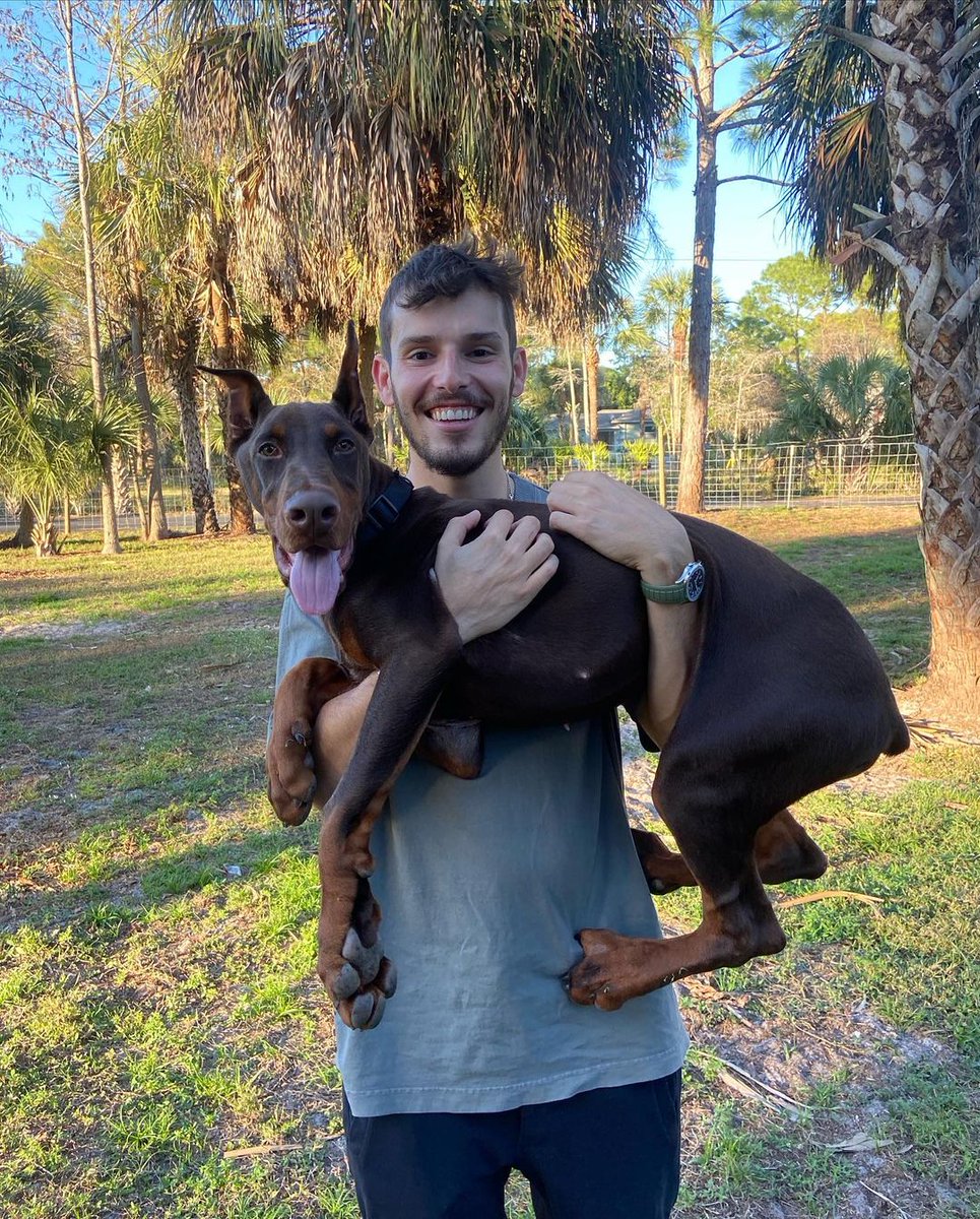 austinnedaal's tweet photo. The newest addition to our family  #PersonalProtectionDog in training Massari. 🙏 I am so excited to raise our Fur son with my queen @jilledal ❤️ Thank you so much @coastline_k9 for sourcing our beautiful 100% European Doberman and I am so excited to see him grow and develop https://t.co/iNYV5MYLJ6