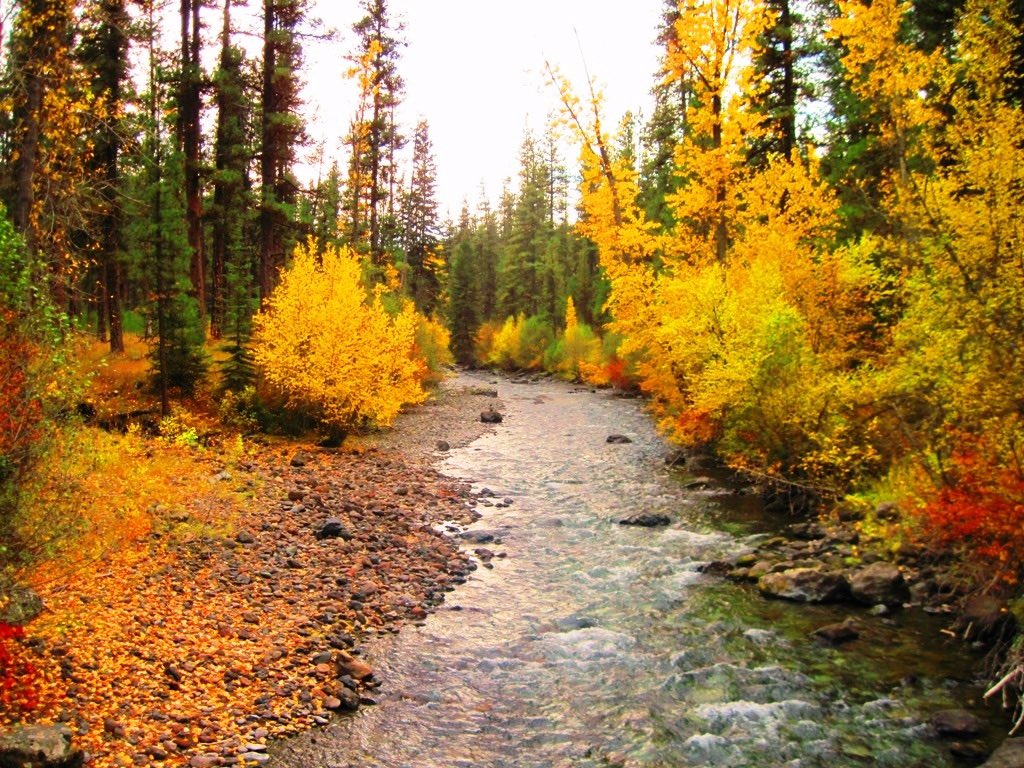 ForestServiceNW's tweet photo. โThe end of the summer is not the end of the world, hereโs to October.โ
โA. A. Milne https://t.co/214bXz94wq