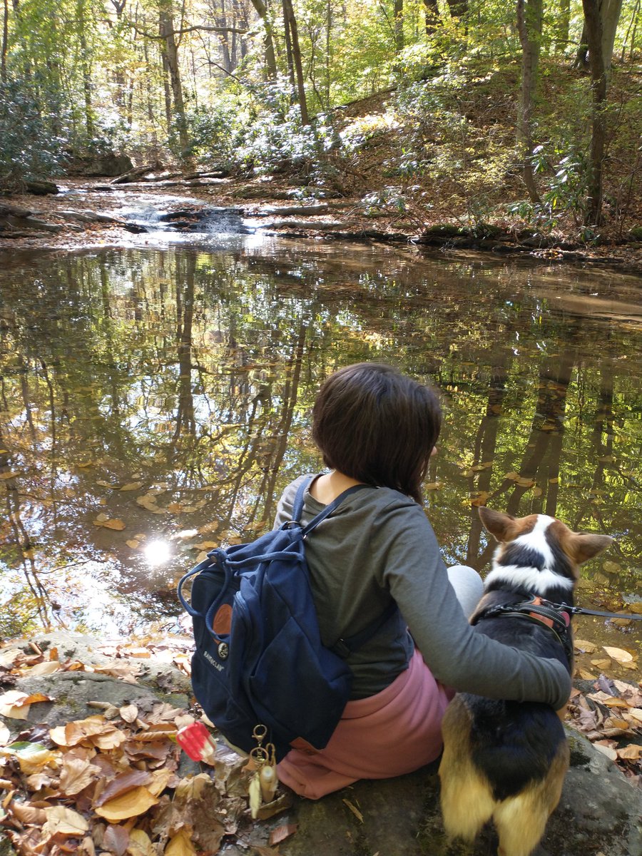 muha_andrea's tweet photo. It was a perfect day for a hike! ๐พ ๐๐๐๐๏ธ #IzzyB #corgi #corgicrew #dogsoftwitter #corgeous @number98 https://t.co/yRCqEN4phF