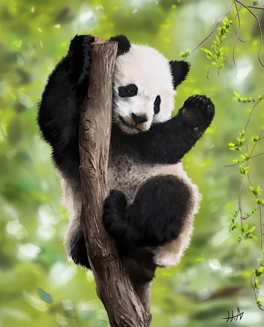 HectorAlef's tweet image. Gen. 1:25 &quot;Deus fez os animais selvagens da terra segundo as suas espécies, os animais domésticos segundo as suas espécies e todos os animais rasteiros segundo as suas espécies. E Deus viu que era bom.&quot;