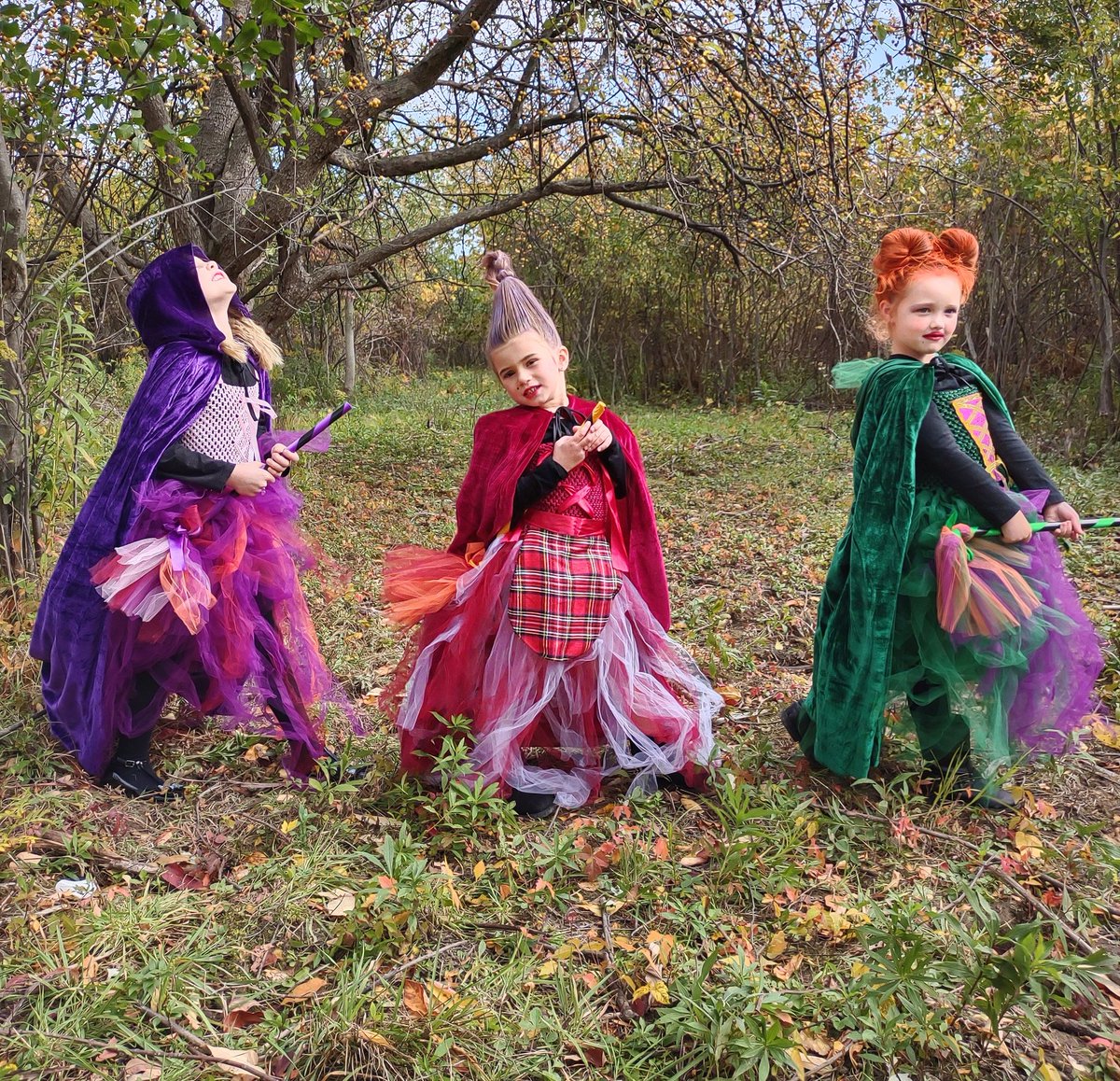 BonitaF's tweet photo. #alljustabunchofhocuspocus #comewefly #wellfancy #happyhalloween https://t.co/HQiIXNLXHY