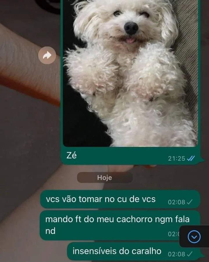 alecrim pensamentos (@alcrsk) on Twitter photo 