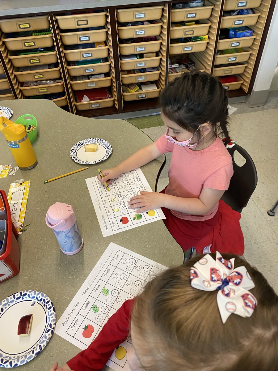 MissBKteach's tweet photo. Apples! 🍎🍏 scientific method, collecting data, and graphing!  Friday Funday was delicious this week!  #kindergarten #science #math #FallScience #Hallowell https://t.co/MvByVGlA8J