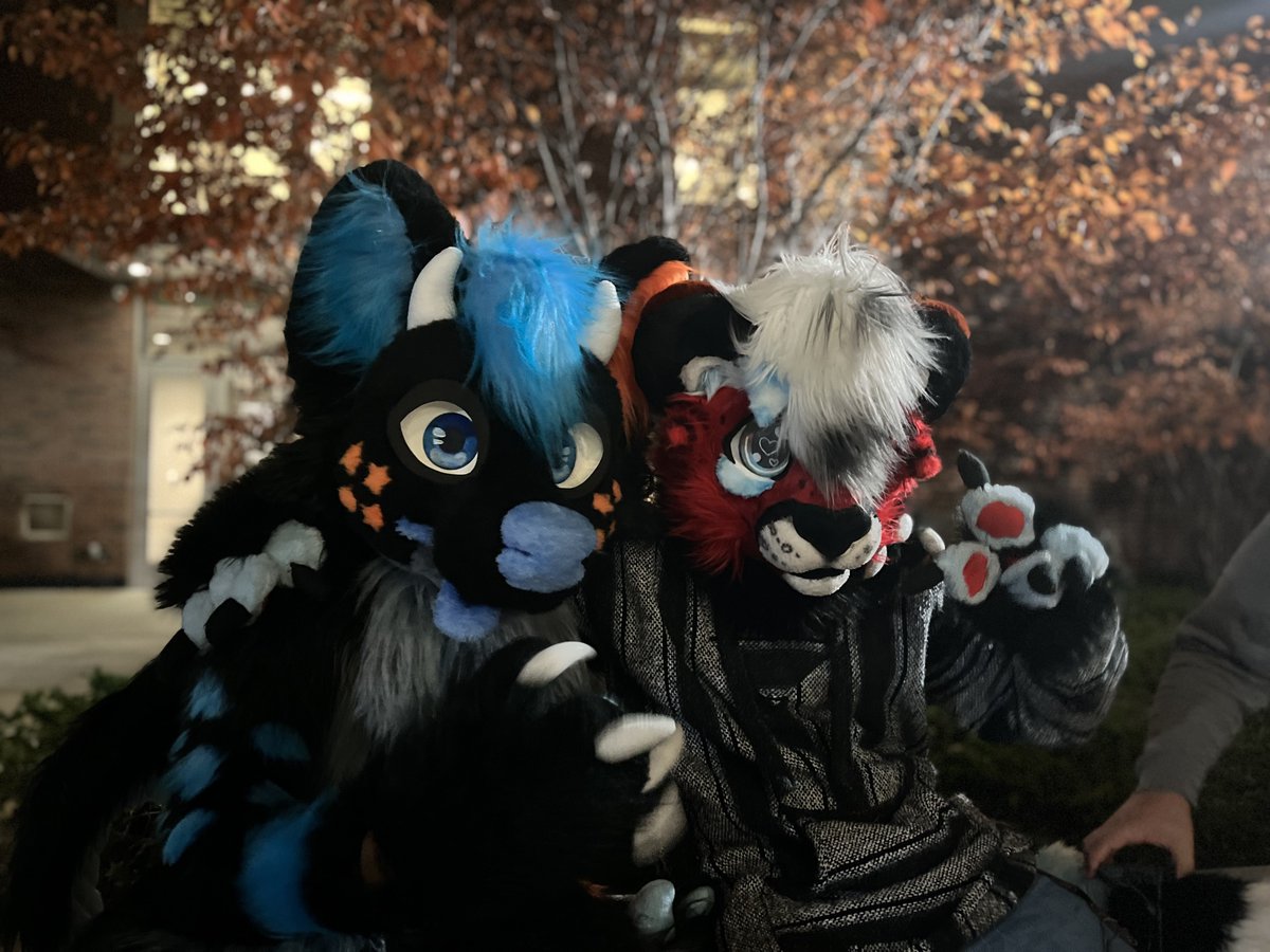 DitrusNight's tweet photo. Had an absolute blast last night hanging out with friends. Didn't really have any plans, so we just figured it out as we went. I gotta go suiting around campus more lol.

🦊: @IceSeaTheOtt (Suit belongs to @Whitestar_001 )
📷: @DeityMomo 
#Furry #Fursuit #FursuitFriday https://t.co/DBbdOlpKib