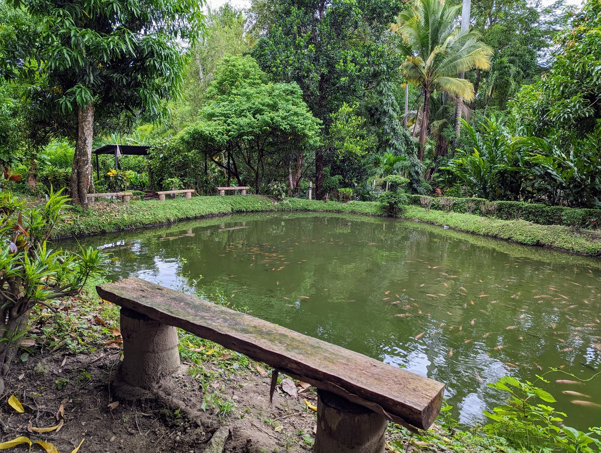 MangoVillageLP's tweet photo. Tómate el tiempo para descansar y disfrutar de la naturaleza en el mejor ambiente familiar.
¡Te esperamos!
#MangoVillage #hacemosecoturismo https://t.co/63HgnMwdwD