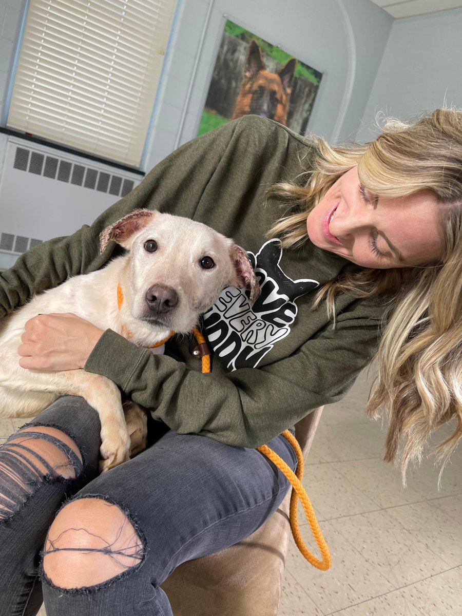 Save Every Buddy. Jeanes is just one of over 200 animals we have rescued in the last week. Learn about her, and how we can only save lives like hers with your support: twitter.com/PSPCA/status/1…