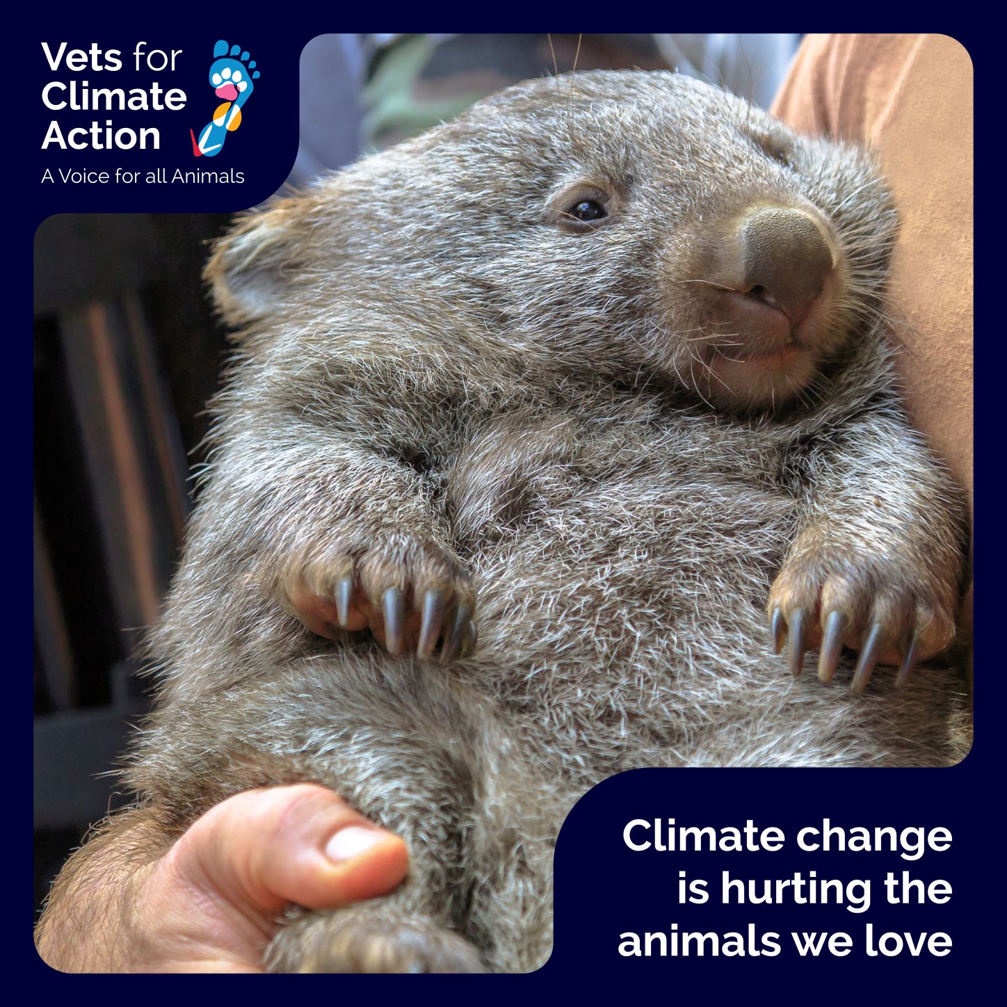 vets4climateact on Twitter: vets4climateact on Twitter: