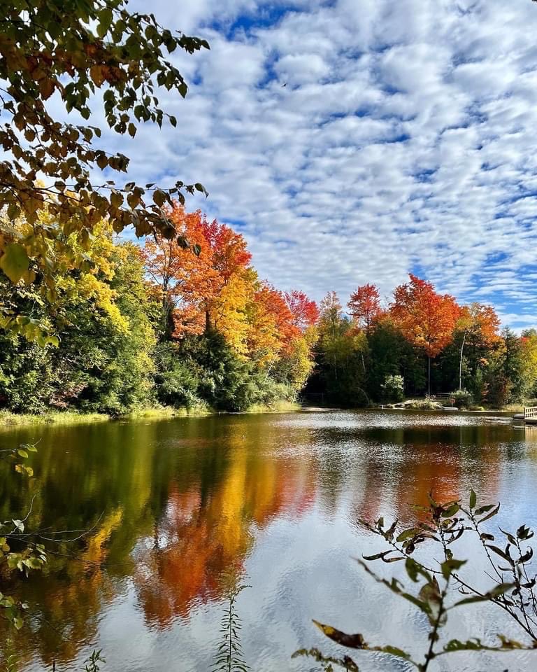 A new season spreading its joy 🍁 #AutumnColours #fall #nature #reflection