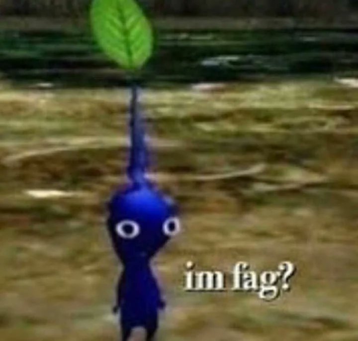 HambinOwO's tweet photo. Played Overwatch for ONE DAY and got called gay 3 times 💀 https://t.co/cfUXCwnhtH
