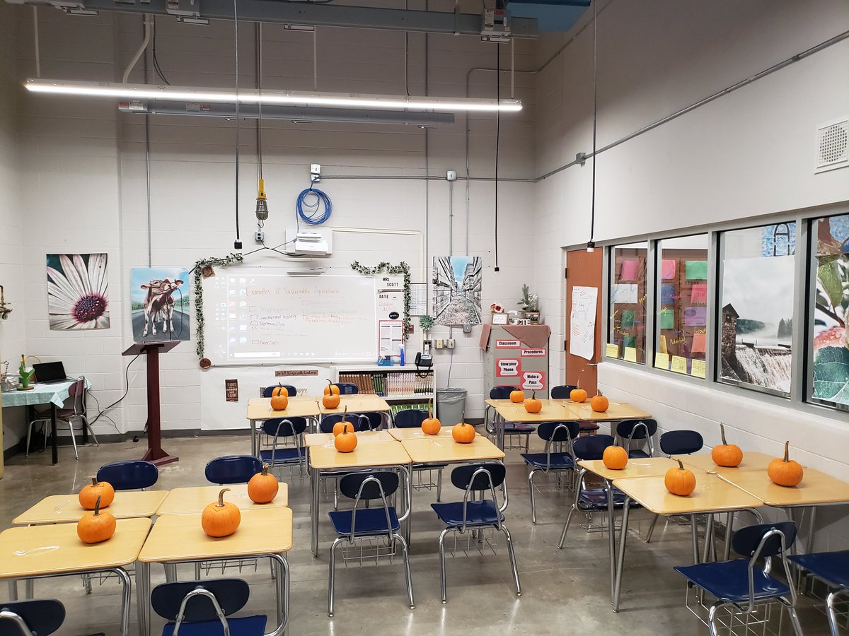 Jenna Timmons Scott tweet media