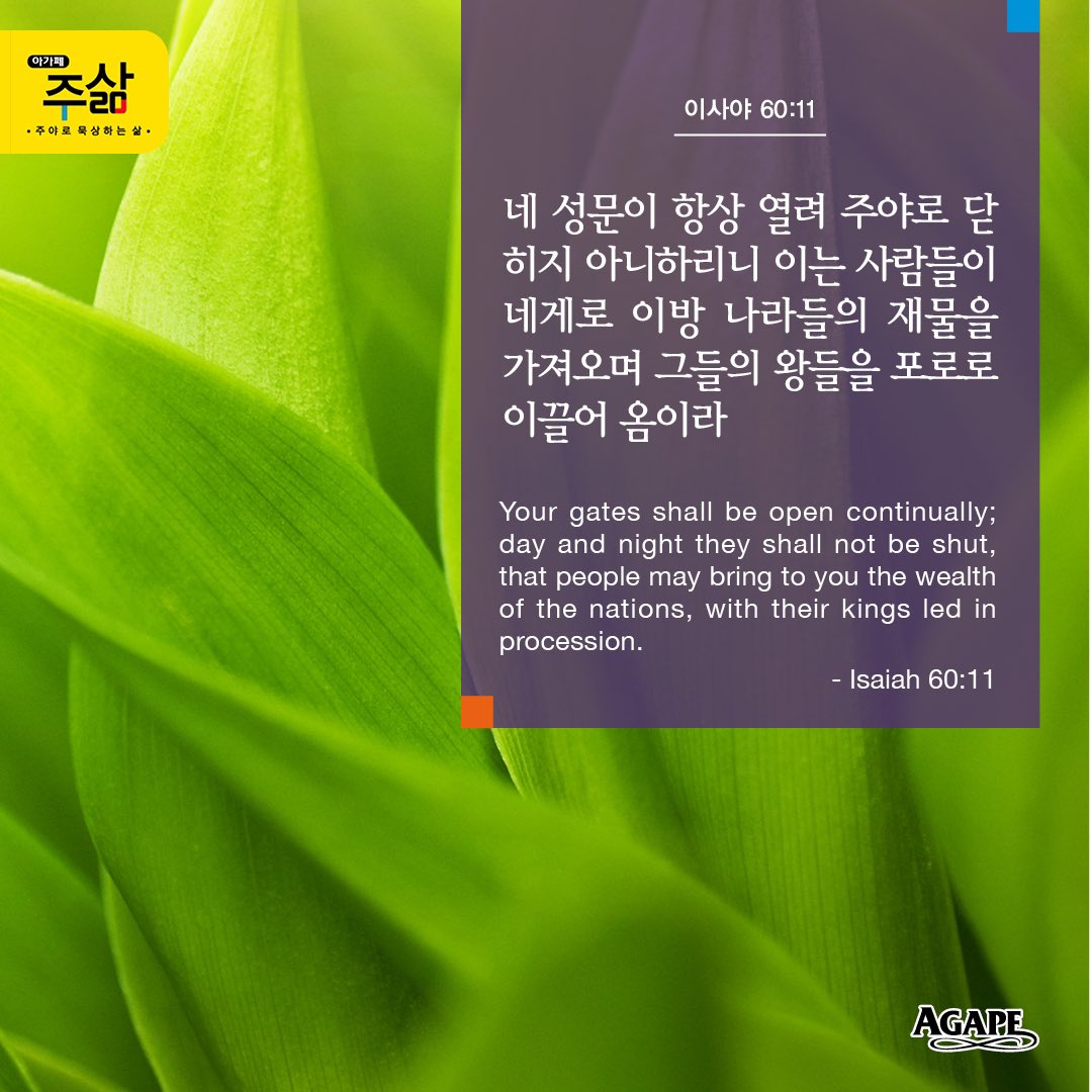 agape_jusam's tweet photo. #오늘의말씀_ 네 성문이 항상 열려 주야로 닫히지 아니하리니 이는 사람들이 네게로 이방 나라들의 재물을 가져오며 그들의 왕들을 포로로 이끌어 옴이라 https://t.co/KXz24moYWH