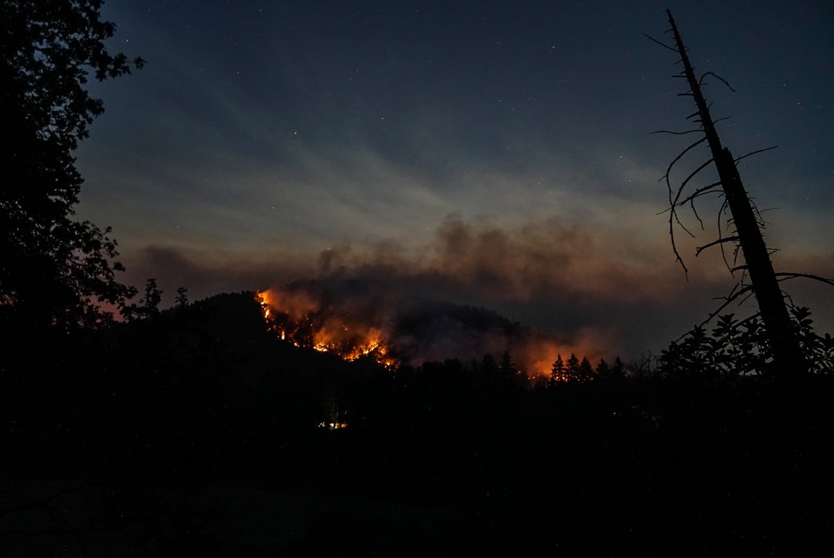 Girls Who Click tweet media