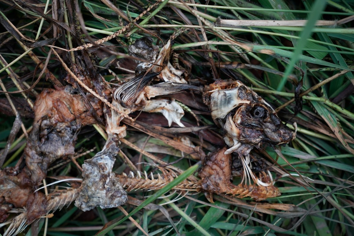 Girls Who Click tweet media