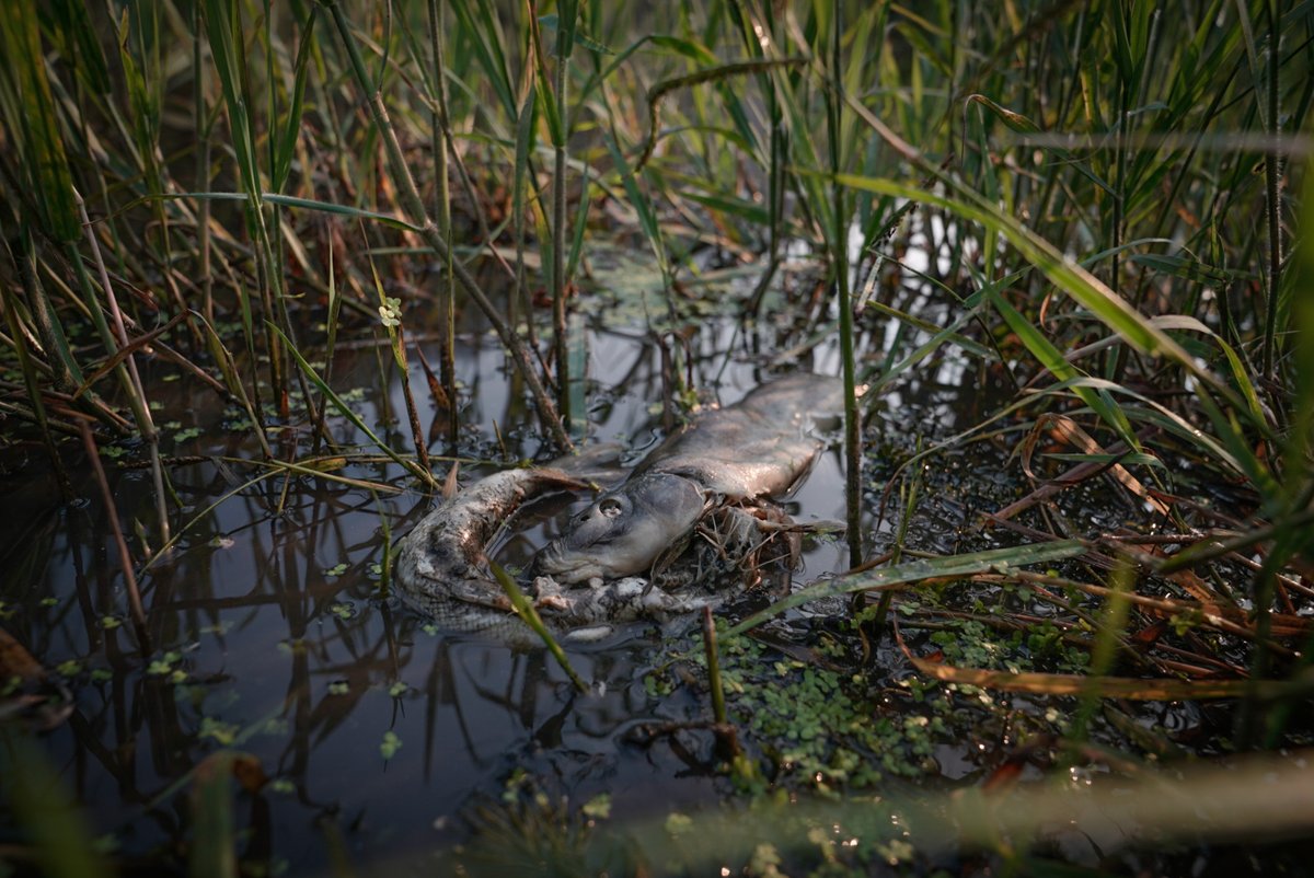 Girls Who Click tweet media