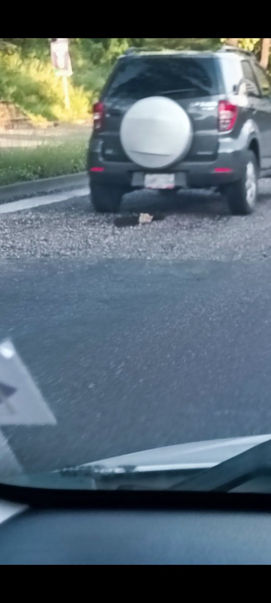 corralesaurio1's tweet photo. @luisaguilarj buenas noches,en la intercomunal La Trinidad, El Hatillo; hay un bote de aguas negras que han dañado la vía y han causado daños en cauchos. https://t.co/gMx2mHsVqt