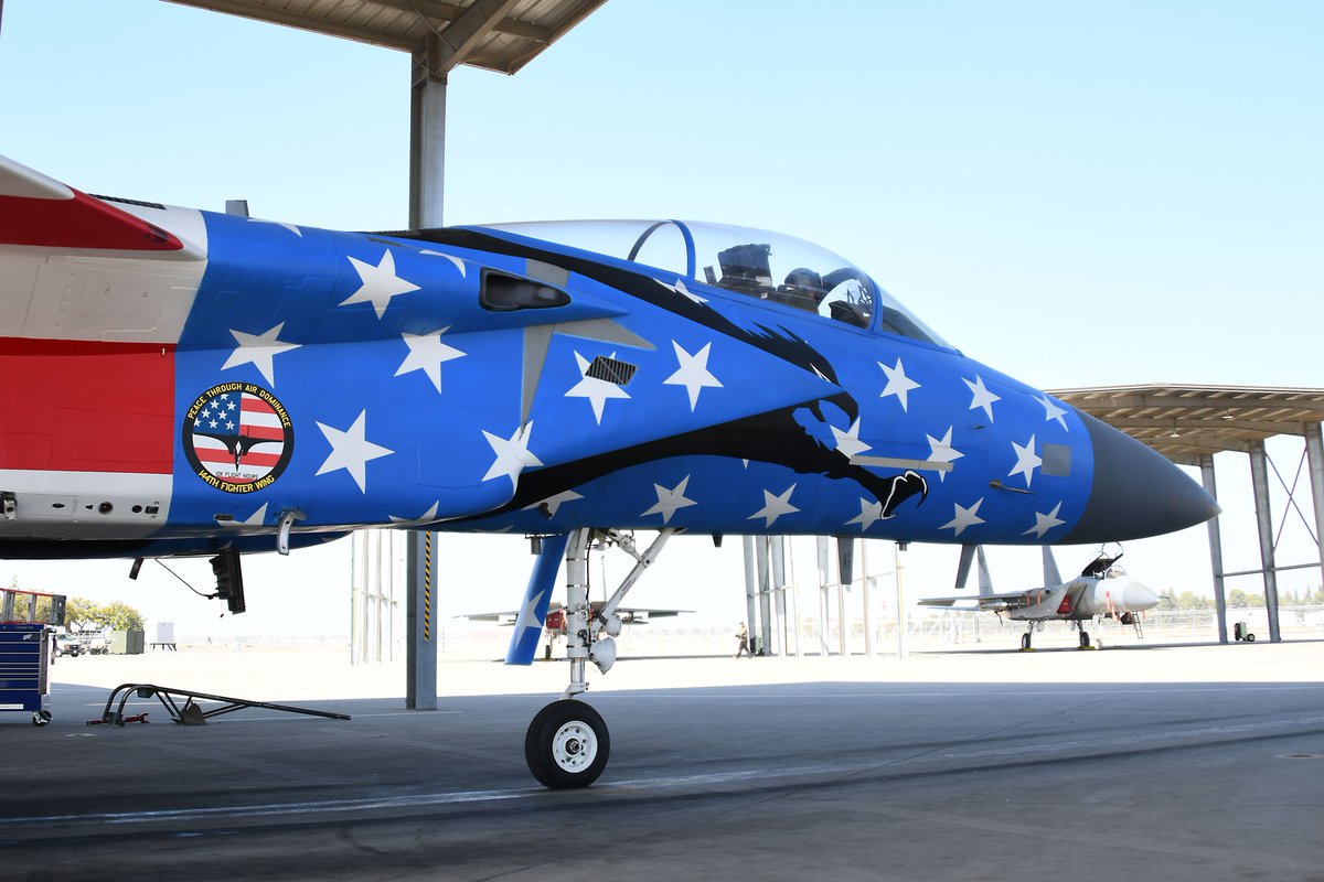 This may be the most Eagly thing I have ever seen. 144th Fight Wing's (California ANG out of Fresno) new color bird: