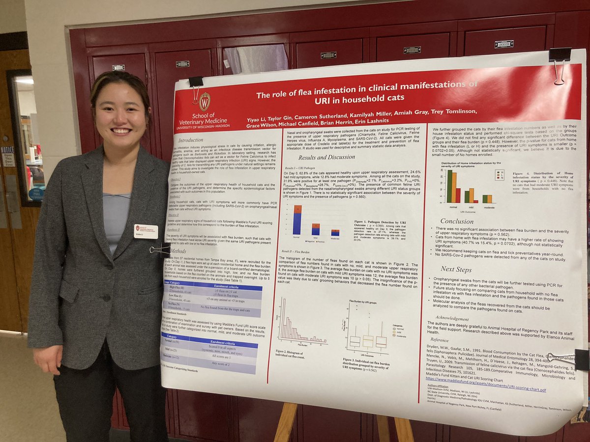 splashnits's tweet photo. Great posters on summer research from @uwvetmed DVM students today! First up, Krista Li with her @ksufleateam results: URI symptoms in owned cats are not worse in homes w high #flea burden (and, happily, no #SARSCoV2 in cats around Tampa FL area this summer!) https://t.co/Nihsk5WzjK